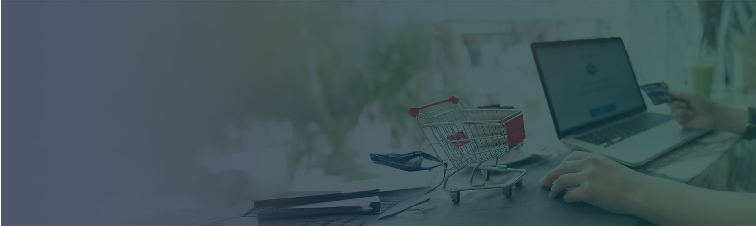 Marketplaces & D2C Platforms